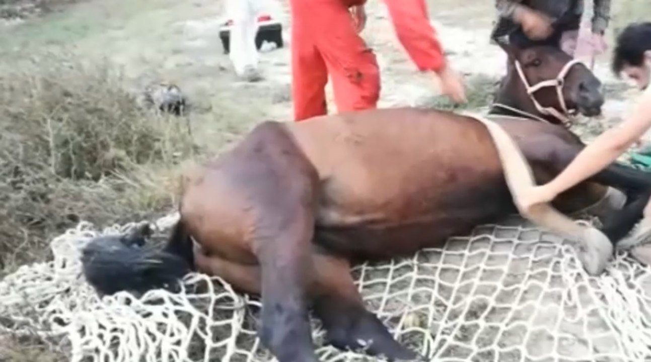 Tregnago (VR) - Escursionista cade durante passeggiata a cavallo (30.08.21)