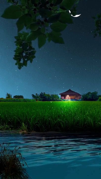 Night beauty