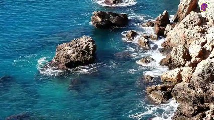 intro-logo-15-min-20210829-230130