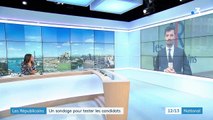 Primaire de la droite : un sondage Ifop pour tester les candidats Républicains