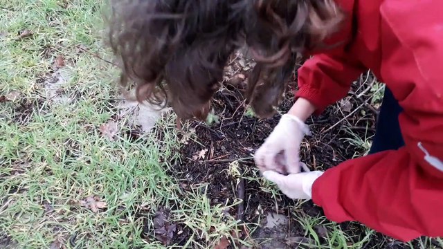 Villes et Villages - Collège Anita Conti de Lorient