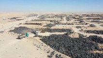 Koweït : le plus grand « cimetière de pneus » au monde va devenir une ville