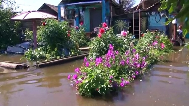 Наводнение в Бурятии: введён режим ЧС