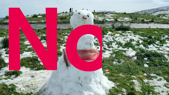 Abondantes chutes de neige en Afrique du sud