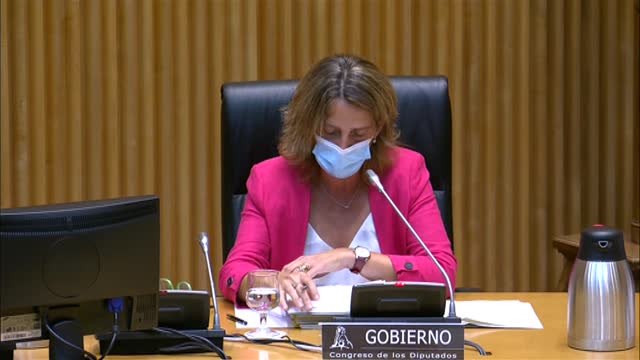 Ribera dice que hay margen para mejorar los mecanismos que determinan el precio de la luz