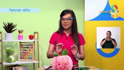 #AprendoEnCasa Español: Uso de categorías gramaticales (Tercer Año - Primaria) Lunes 30 Agosto 2021