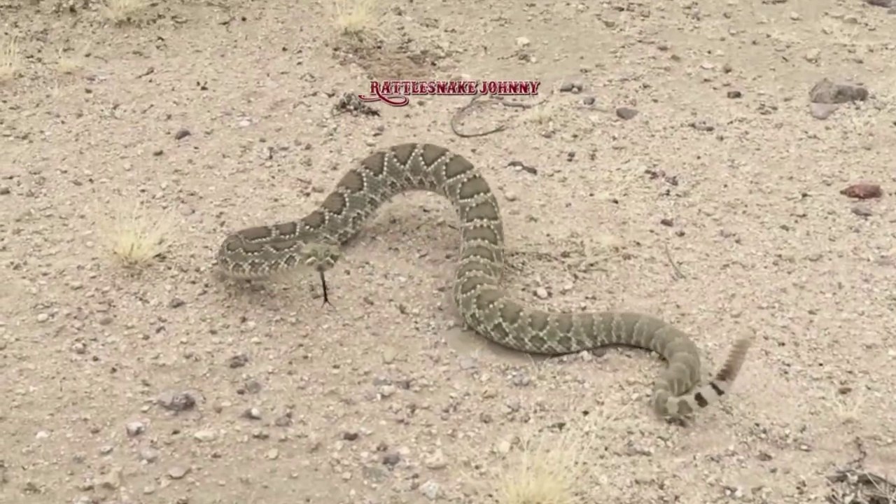 Grenzlandwanderung 02.02.2019 im Mansfelder Land Teil 3