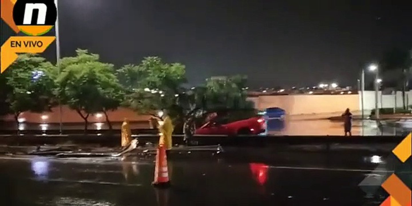 Estrella auto deportivo contra árbol y lo abandona_360P