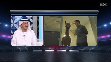 Video herunterladen: الشيخ فيصل بن سعود القاسمي يتحدث عن صعوبة التدريب في الفروسية والتحديات التي يواجهها