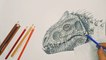 How To Draw Indominus Rex From Jurassic Park - dinosaur_2