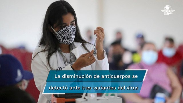 Los anticuerpos producidos por las vacunas de ARNm contra Covid-19 disminuyen 20%, tras dos meses d