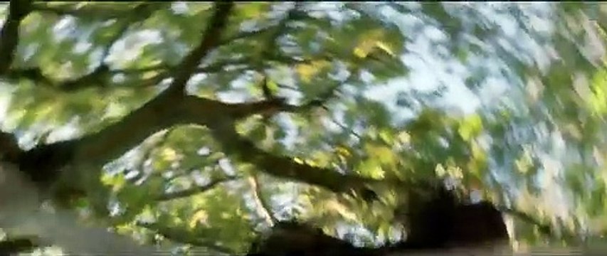 Marguerite & Julien (2015) - Bande annonce