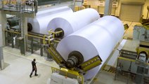 How 1.6 million tonnes of paper a year are made in Portugal