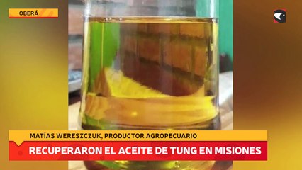 Recuperaron el aceite de tung en misiones