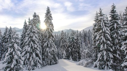 Everything to Know About the Winter Solstice