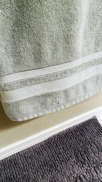 Cat Stares Back With Makeup Mirror