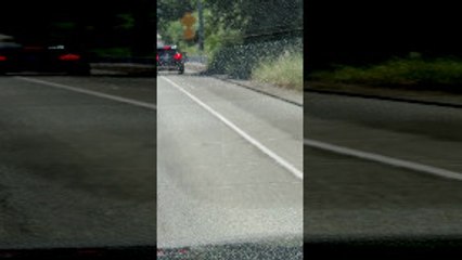 Roadside Altercation Leads to Man Fleeing from Pursuing Car