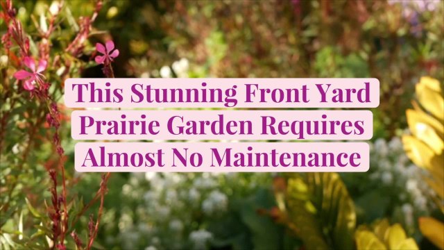 This Stunning Front Yard Prairie Garden Requires Almost No Maintenance