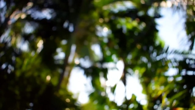 SummerMix ,Mega MashUp, Deep House, Vocal House, Nu Disco, Chillout _ Get Relax //Ed Sheeran, Martin Garrix, Kygo, Dua Lipa, Avicii, The Chainsmokers #43