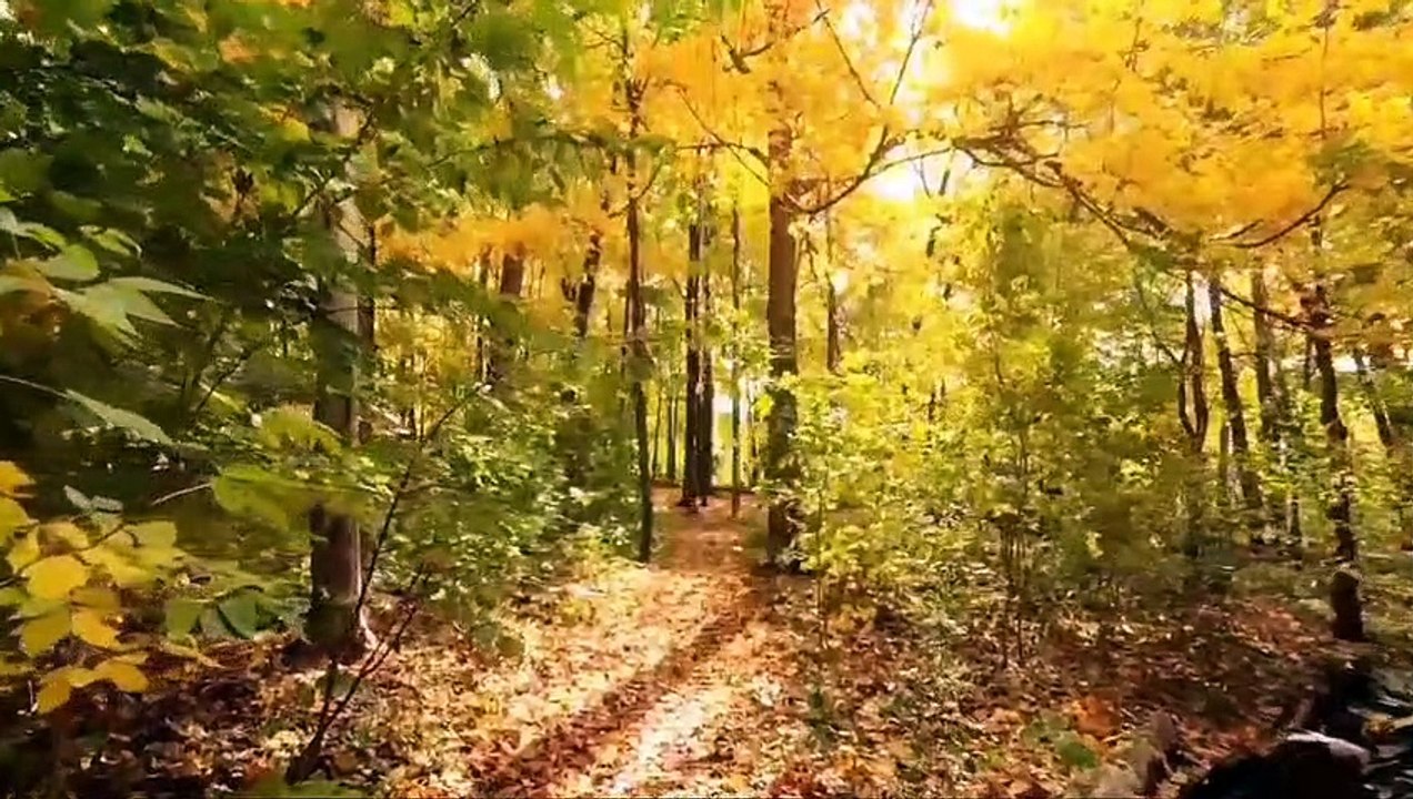 Meditation music