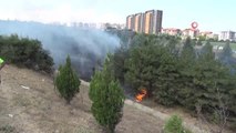 Son dakika haberi: Bursa'da ağaçlık alanda yangın paniği