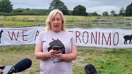 Police have arrived at Geronimo the alpaca's farm - with a massive horse-box style animal carrier vehicle
