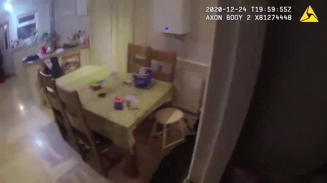 Knife-wielding burglar Tasered as he tried to chase terrified woman through her own home