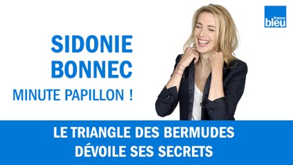 Le triangle des Bermudes dévoile ses secrets dans Minute Papillon !