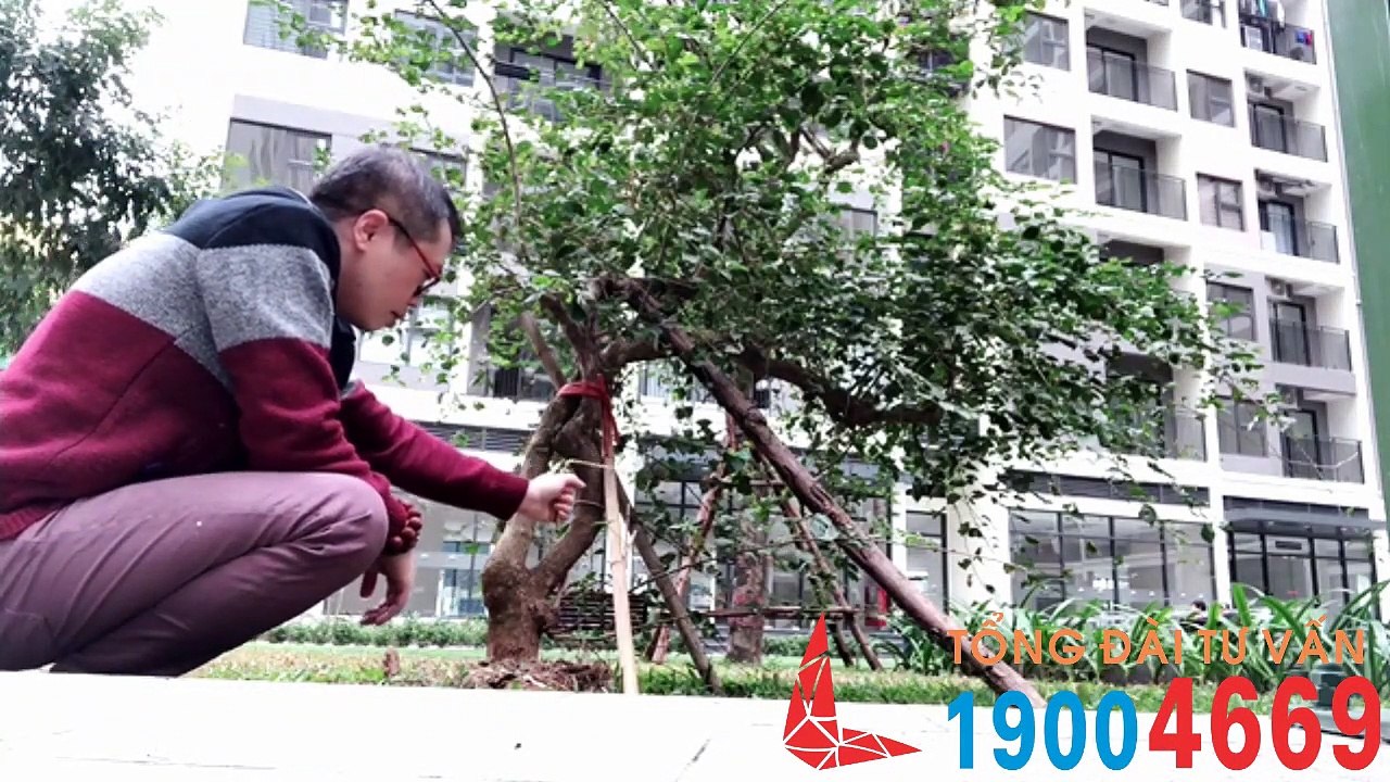 203 Cắm hương xuống đất, vong-ma theo về bao lâu -Hãy chia sẻ cho nhiều người biết (Tư vấn-19004669)