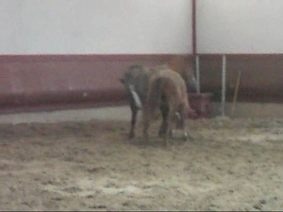 Myel vs Herman