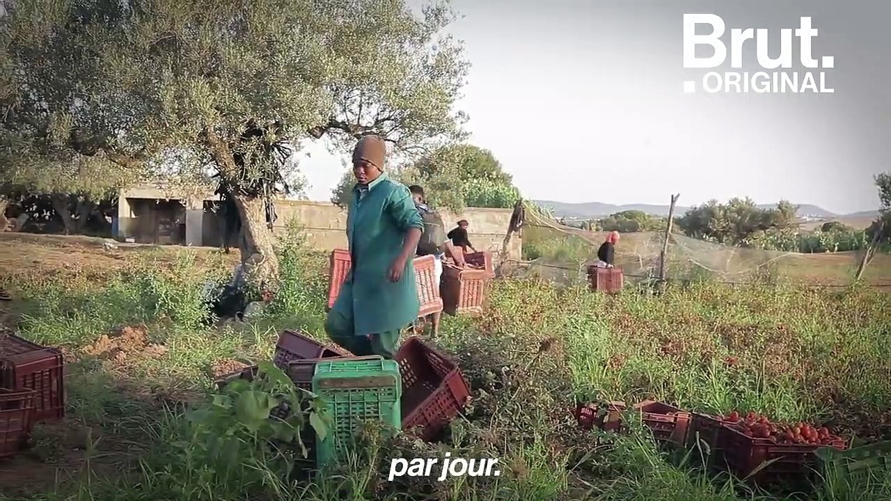 Kevine raconte son dur quotidien en Tunisie sur TikTok