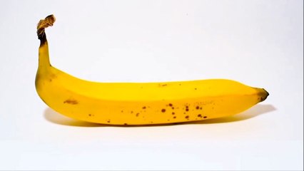 bd-saquele-el-mayor-provecho-a-sus-alimentos-310821