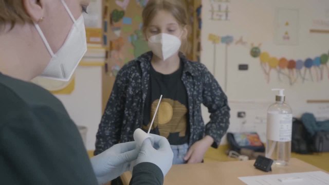 Alto Adige, test nelle scuole: Bolzano anticipa lo screening in classi sentinella