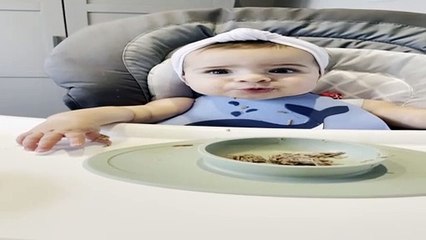 Little Baby Is an Adorable Chewing Monster