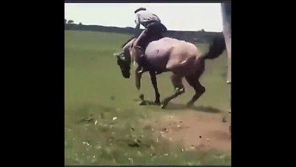 Ce cavalier réalise un flip impossible et pas vraiment prévu