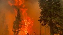 Towering wall of flames from the Caldor Fire