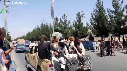 "So dumm können die Taliban gar nicht sein"