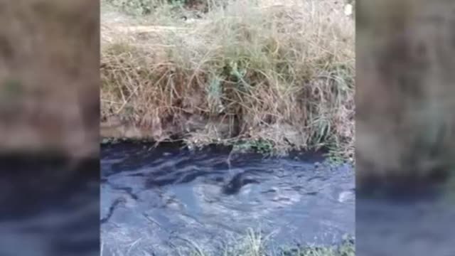 Los incendios de Ávila tiñen de negro las aguas de los ríos por el exceso de cenizas