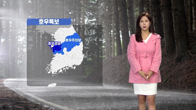 [날씨] 충남 '호우경보'...낮까지 국지성 호우 유의 / YTN