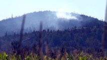 Incendie de forêt Saint-André-de-Kamouraska