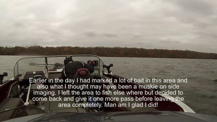 Monster Muskie from Mille Lacs Lake