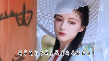 王琪-可可托海的牧羊人~歌词版