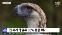 [이 시각 세계] 전 세계 맹금류 30% 멸종 위기