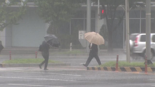 [날씨] 충남 '호우경보'...낮까지 충청 이남 국지성 호우 / YTN