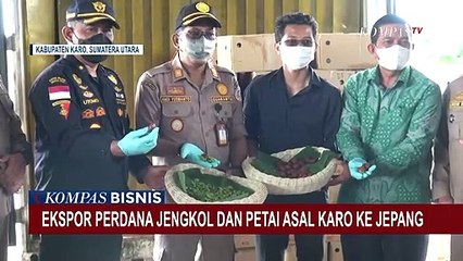 Banyak Diminati, Petai dan Jengkol Asal Sumut Diekspor ke Jepang