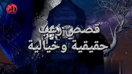 أمير كرارة في شارع الوحوش