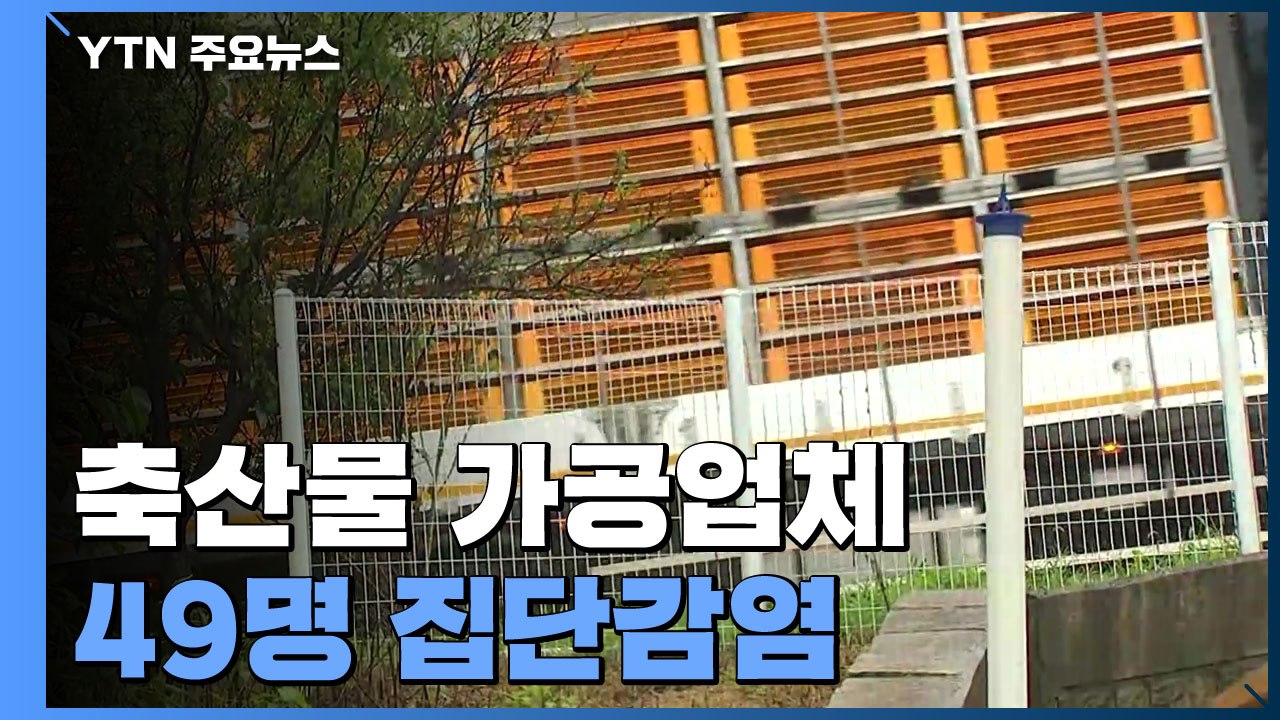 축산물 가공업체 49명 집단감염...수도권 직장 곳곳 확산 / YTN