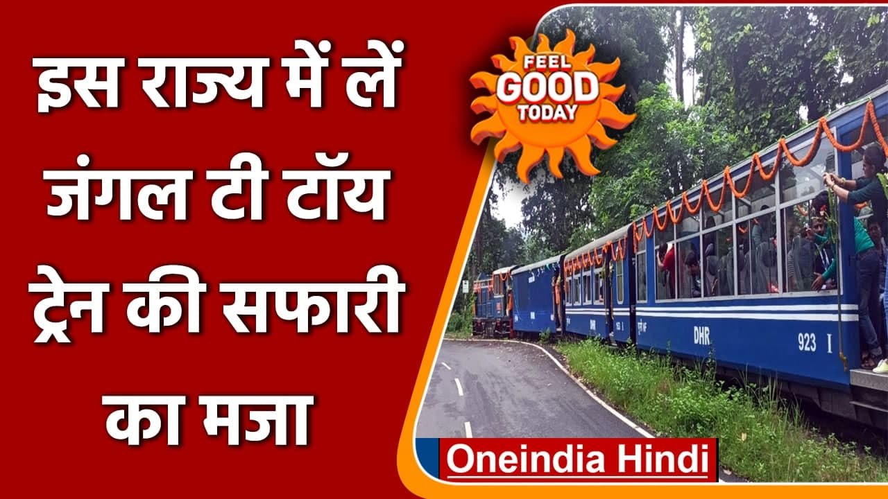 Feel Good: Vistadome Coach वाली Toy Train की Jungle Tea safari का लिजिये आनंद | वनइंडिया हिंदी