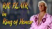 That time RIC FLAIR left WWE for RING OF HONOR??!