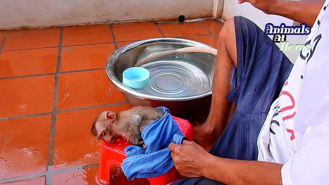 15Why Does A VA Sit With Her Mouth Shut And Stop Talking Like This || Angry Daddy Bathes